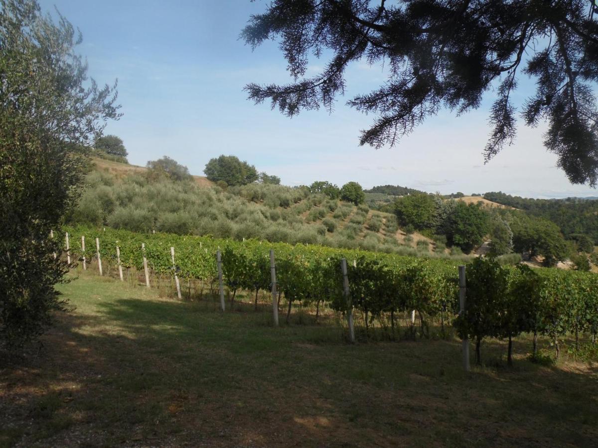 Podere Caldaruccio La Pineta Perugia Exterior photo