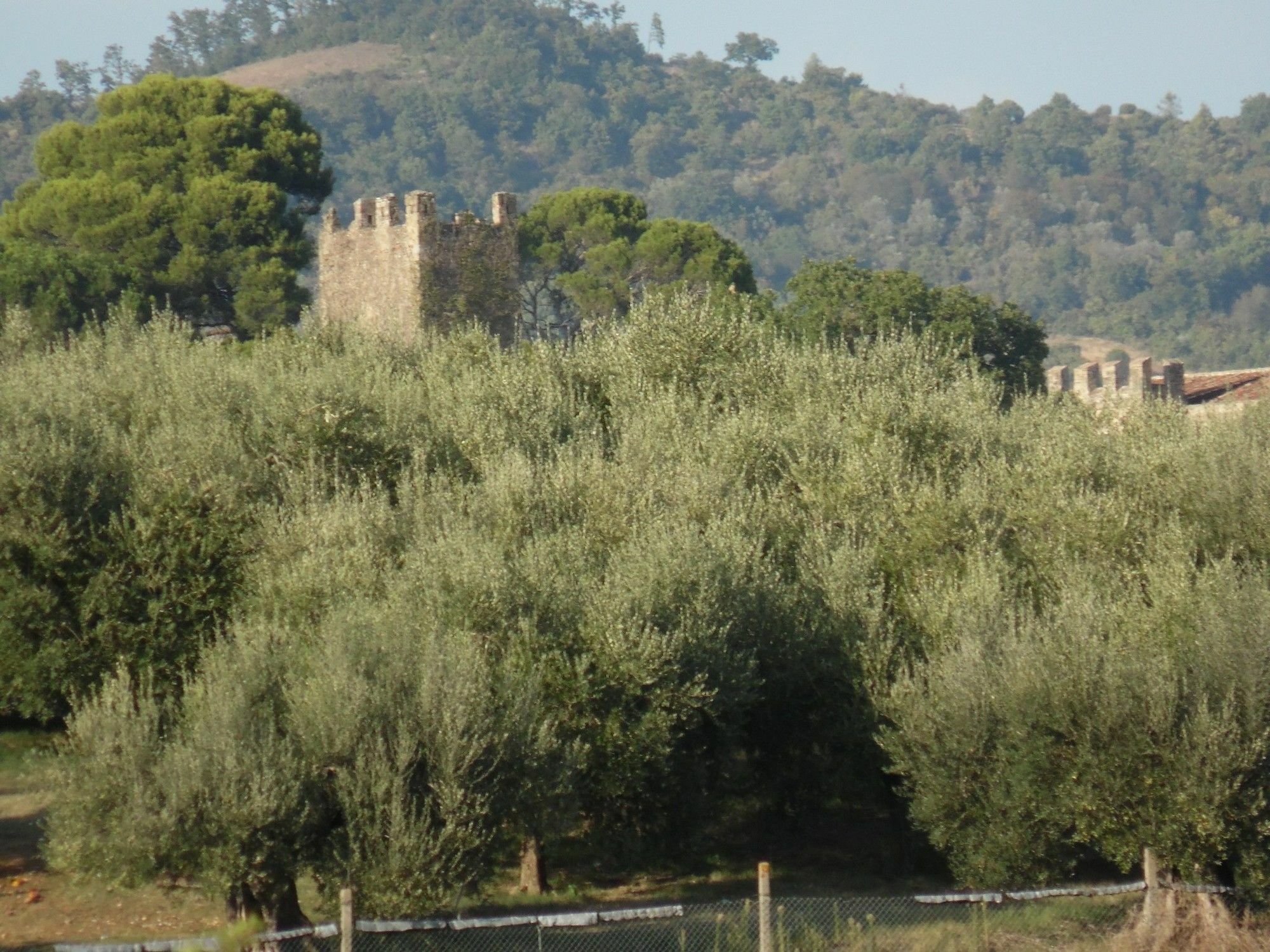 Podere Caldaruccio La Pineta Perugia Exterior photo