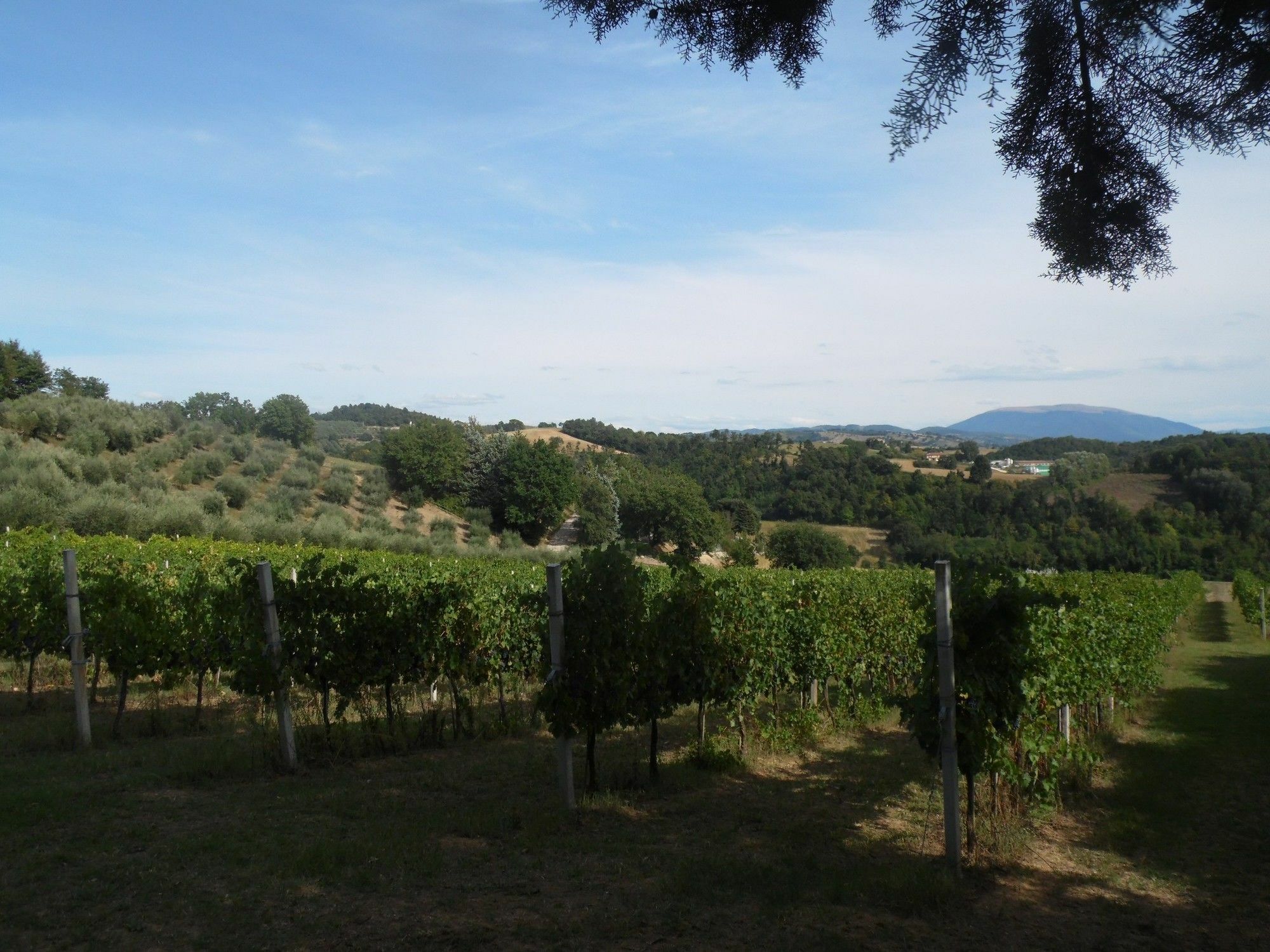 Podere Caldaruccio La Pineta Perugia Exterior photo